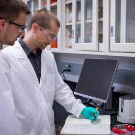 Scientist working together in a lab