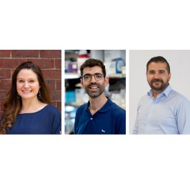 Amanda Linkous, PhD; Francesco Cambuli, PhD; and Nino Faleo, PhD