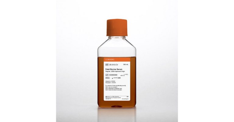 Fetal Bovine Serum