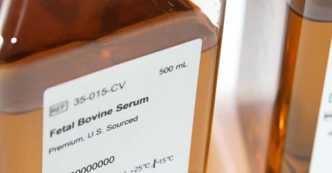 Corning® Fetal Bovine Serum