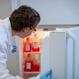 Scientist storing Media in Fridge