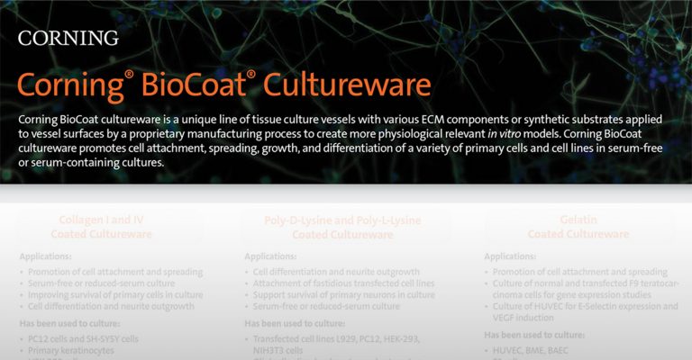 Corning® BioCoat™ Cultureware Selection Infographic