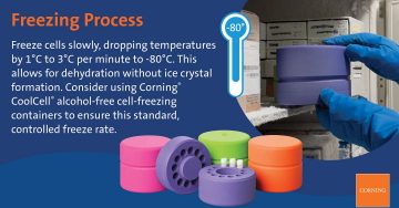 Freezing Process