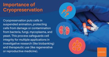 Importance of Cryopreservation