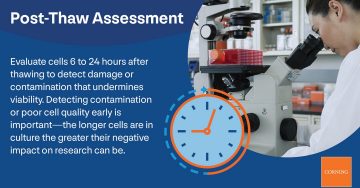 Post Thaw Assessment