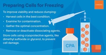 Preparing Cells for Freezing