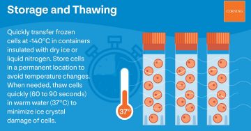 Storage and Thawing