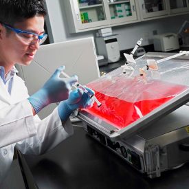 Scientist using media bag