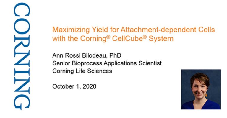 Maximizing Cell Yields Using Perfusion