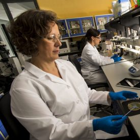 Woman working in a lab