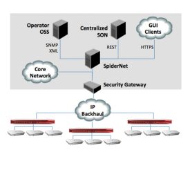 SpiderNet Diagram